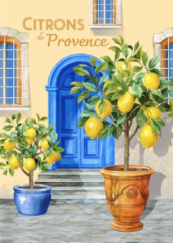 Geschirrtuch 50X70cm PROVENCE CITRONNIER